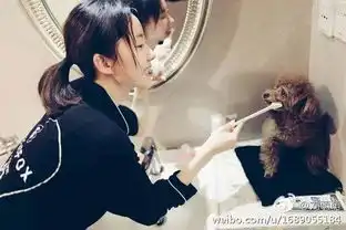 专访刘萌萌孤芳不自赏从无到有的燕十三娘