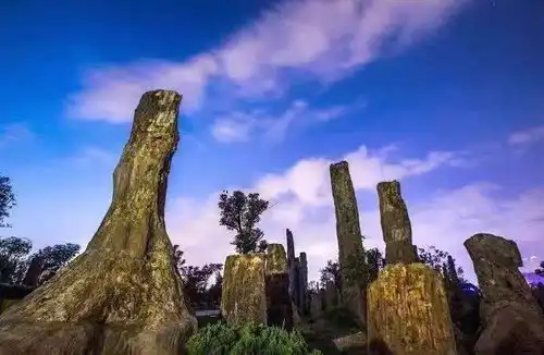 黄石阳新仙岛湖天空之城和园博园对全国医护和江苏...