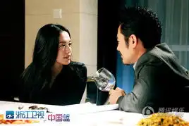 剧王离婚律师姚晨吴秀波联手且看且珍惜