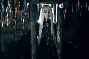 白发魔女你发如雪,恶心了黑夜
