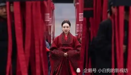 大秦赋芈华这个女人不简单,嬴政并没有表面上那么爱她