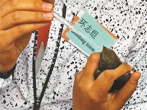 颐和园雨燕年度体检