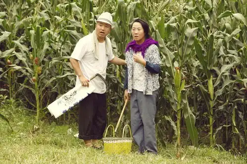 乡村爱情4高清剧照
