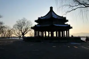 颐和园雪后小景