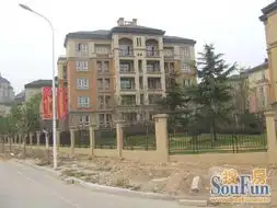 绿城理想之城商铺已交付的洋房20090927