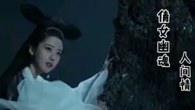 男子穿越变成女人,还是个王后韩版太子妃升职记