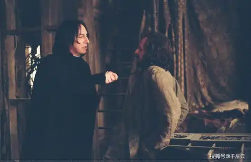 唯一没有出现伏地魔的哈利波特系列电影