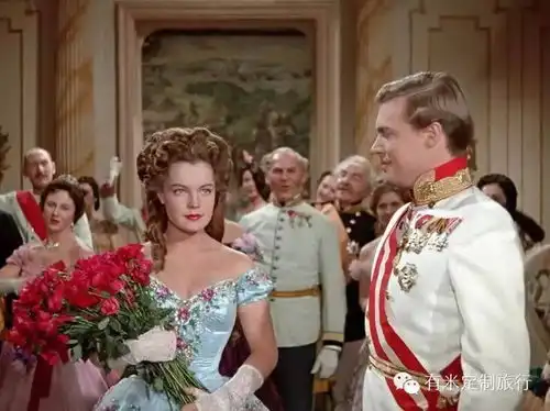 维也纳不爱宫殿的公主
