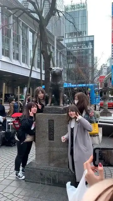 日本忠犬八公铜像,坐落在东京涉谷,你看过这部电影吗