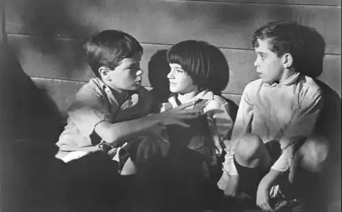 杀死一只知更鸟每个人心中,都有一个知更鸟自由唱歌的世界