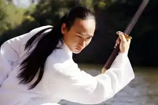 武当功夫团实力不逊少林武僧团,到底谁是中国传统武术第一名片

