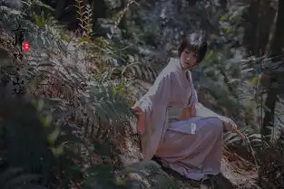 寂静山林
