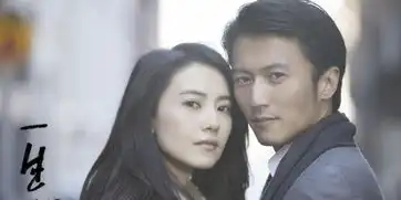 一生一世剧照谢霆锋高圆圆纽约热恋
