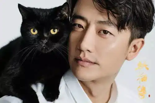 12月22日预售已开启猫妖传还是妖猫传傻傻分不清楚
