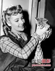 剧照集纪念伊丽莎白泰勒从童星到贵妇
