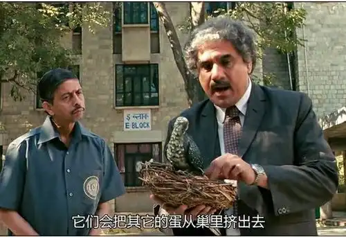 三傻大闹宝莱坞关于学习友谊和快乐,它想一部电影就说透
