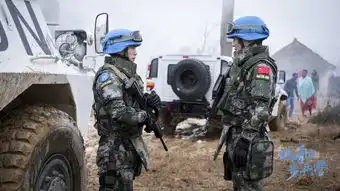维和步兵营剧照
