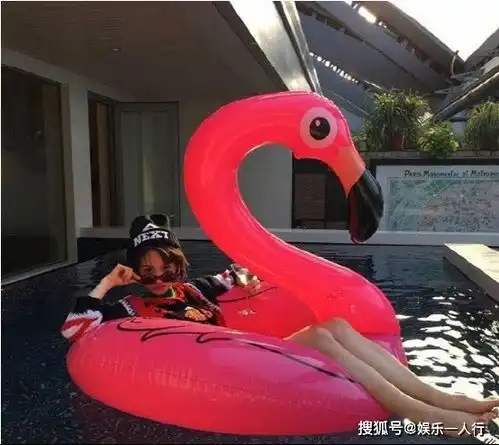 晒晒王子文住的豪宅,平时就在沙发上休息,工作太累了
