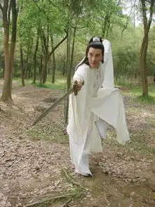 蒲巴甲电视剧作品