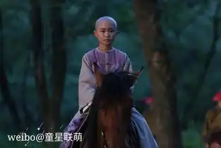 寂寞空庭春欲晚中饰演小纳兰容若的童星徐凌晨