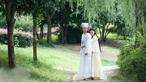 徐海乔夜天子,嬉笑怒骂下的英雄情怀,哪怕最烂的剧本
