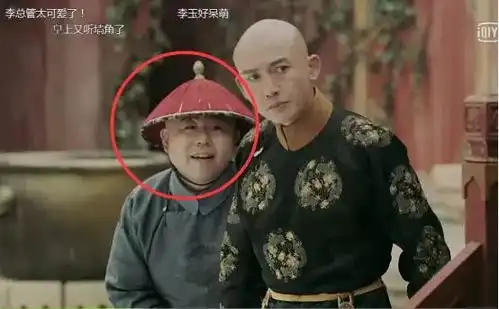 延禧攻略里那些可爱的大猪蹄子们
