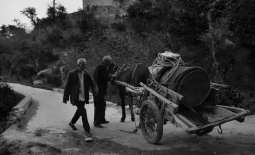 为什么路遥平凡的世界不被文学史认可,却能成为永恒的经典