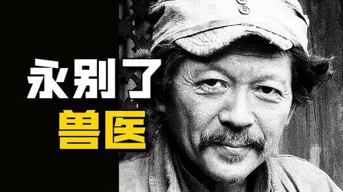 罗京民老师在我的团长我的团中的经典台词
