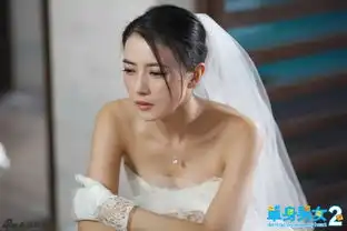 单身男女2高圆圆大婚现场飙泪