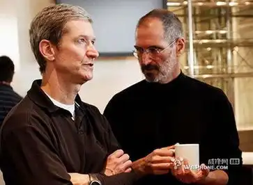 乔布斯认为增加苹果价值就是做慈善