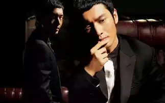 进击的影视明星商人游刃在娱乐圈与资本圈之间
