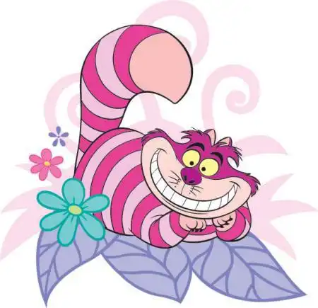 这张图片的猫出自哪
