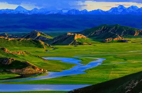 去飞驰人生取景地邂逅绝美春天还私藏不输日本的花海温泉