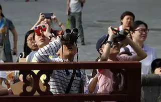 颐和园雨燕迎体检小志愿者科普过六一组图