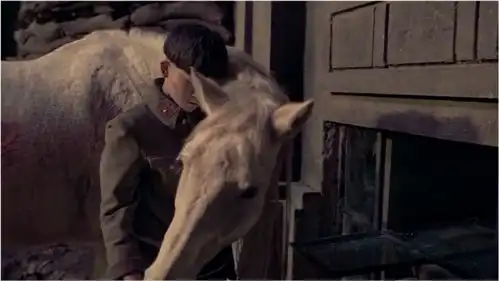 八佰细节解析电影中出现了老鼠乌鸦和白马,都隐喻了什么
