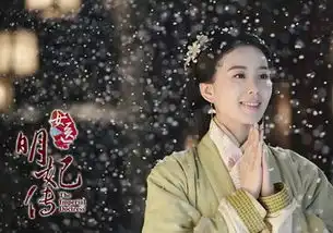 女医明妃传收官霍建华黄轩两大男神对阵荧屏
