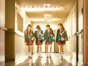 我的职业是教师
