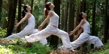 桐乡湿气重的懒人有福了到这个神仙地方,三伏天祛湿事半功倍
