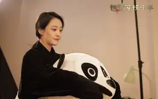 相爱穿梭千年剧照
