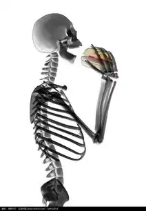 吃汉堡的透视骷髅人图片免费下载编号3888792红动网
