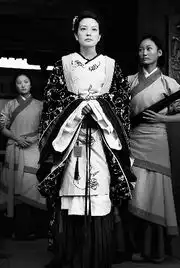 赵薇悄然牵手花木兰陈蓉证实早已敲定