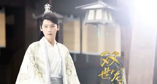 9大美男王爷,躲过了龙非夜,躲过了八王爷,却躲不了他古装
