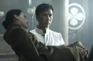 精武风云陈真

