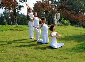 功夫瑜伽里有哪些动物功夫瑜伽中的动物品种大全