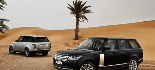 老司机提醒这4款豪车最好不要买,尤其第一款,质量没有保障