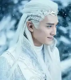 幻城剧照蓝爸爸