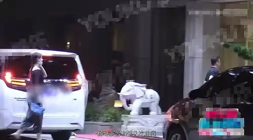 48岁杨坤腿脚受伤不忘风流,与神秘女子吃饭热聊,女方高挑有气质