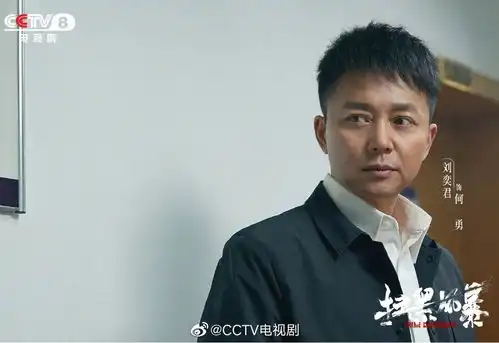 两部大剧同登央视,孙俪明明手握黄金时段,为何还是输给了孙红雷