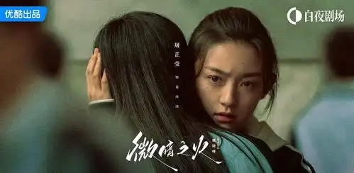 比黑暗荣耀更直击人心的悬疑故事,被微暗之火拍透了