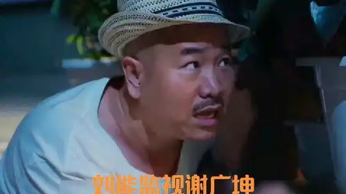 乡村爱情8刘能为证明谢广坤虐待腾飞去监视广坤
